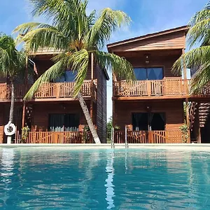 Coconut By Ool México